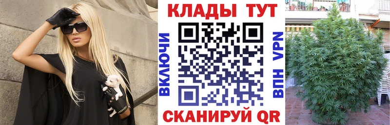 Магазины продажи наркотиков Армавир A PVP  Бошки Шишки  Кокаин  Меф мяу мяу  ГАШИШ 