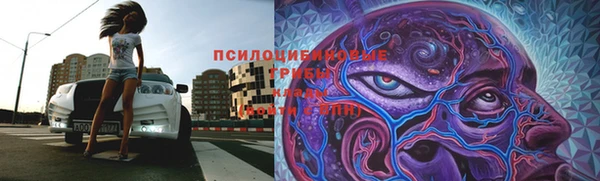 метамфетамин Гусев