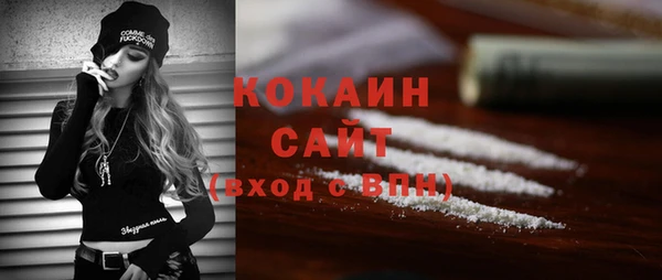 индика Горняк