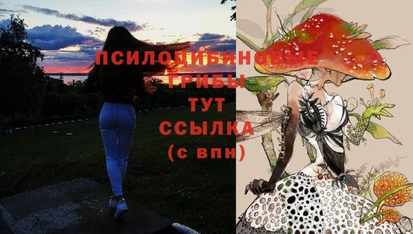 мдма Дмитровск