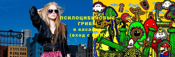 ПСИЛОЦИБИНОВЫЕ ГРИБЫ Гусиноозёрск